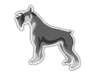 perro