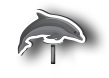 vaquita