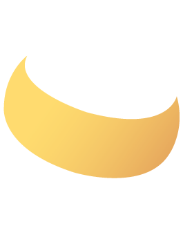 sección