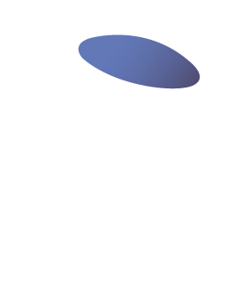 sección