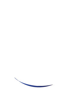 sección