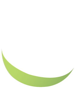 sección